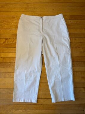 EUC Eileen Fisher Undyed Organic Cotton Stretch Wide-Leg Jean | Women’s Plus 1X